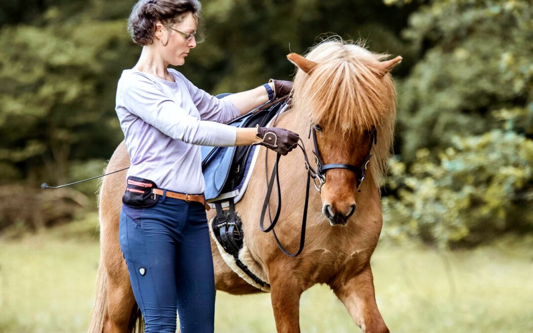 Neue Fotos bei Reiten im Dialog
