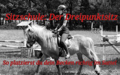Neu bei YouTube "Sitzschule: Der Dreipunktsitz. So platzierst du dein Becken richtig im Sattel!"