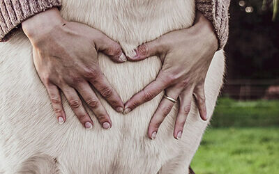 Trainingsphilosophie: „Nicht um jeden Preis zum Ziel“